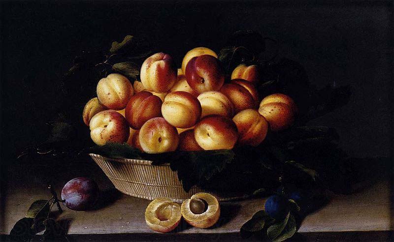 Louise Moillon Basket of Apricots Norge oil painting art